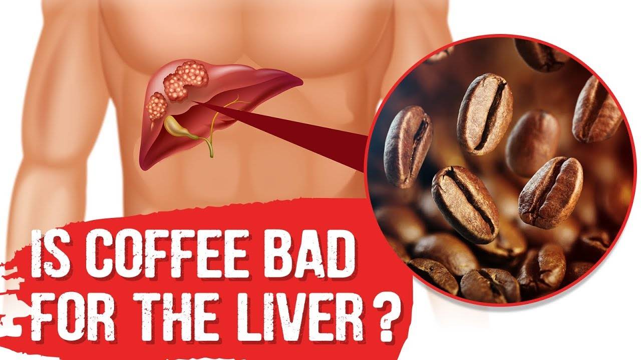 Влияние кофе на печень, польза или вред кофе для печени