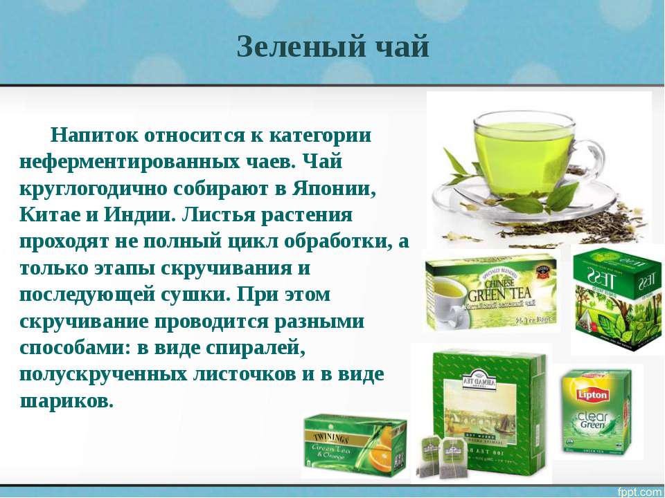 Зеленый чай – польза и вред, противопоказания