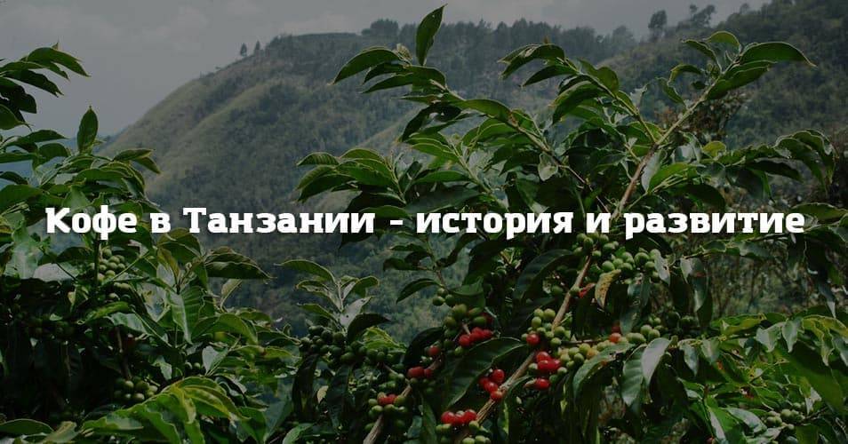 Эфиопский кофе