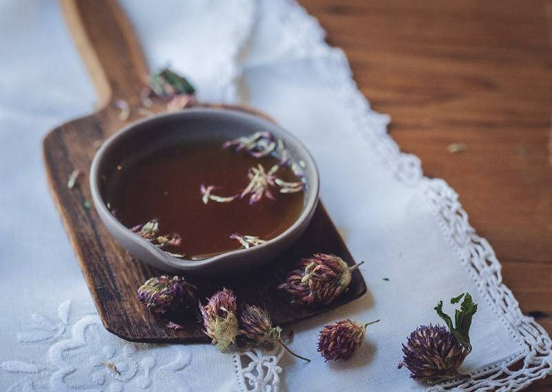 Чай из клевера — полезный напиток из трилистника