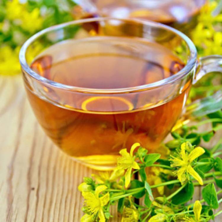 Курильский чай — свойства и противопоказания, применение и состав | здоровье и красота