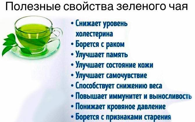 Полезные свойства зеленого чая и противопоказания