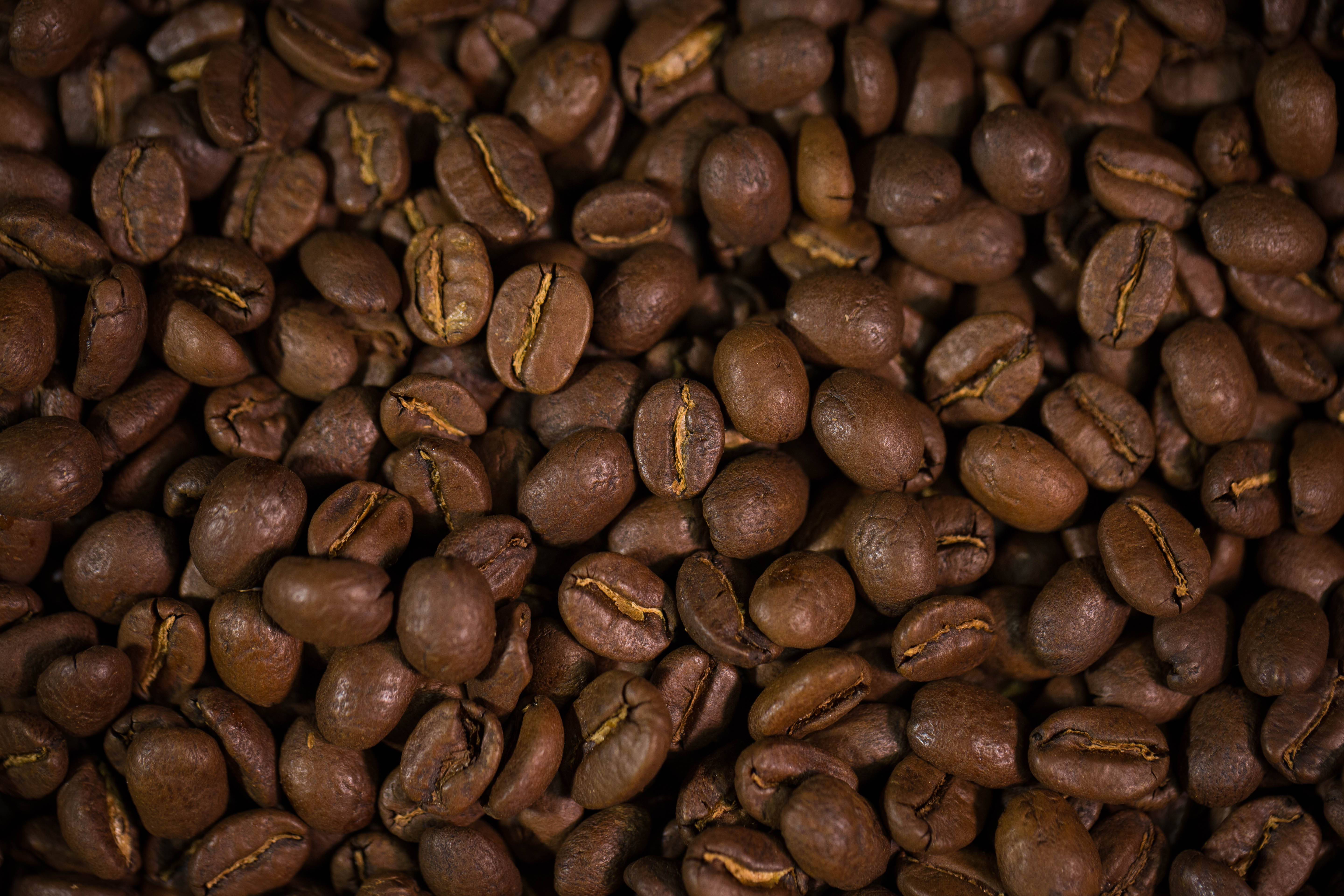 Колумбийский кофе | зона кафетера в колумбии