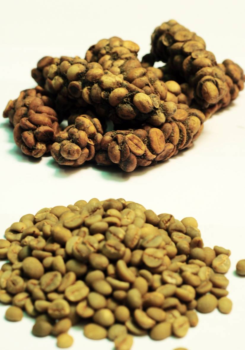 Кофе из кала животных: все о самом дорогом кофе в мире из помета