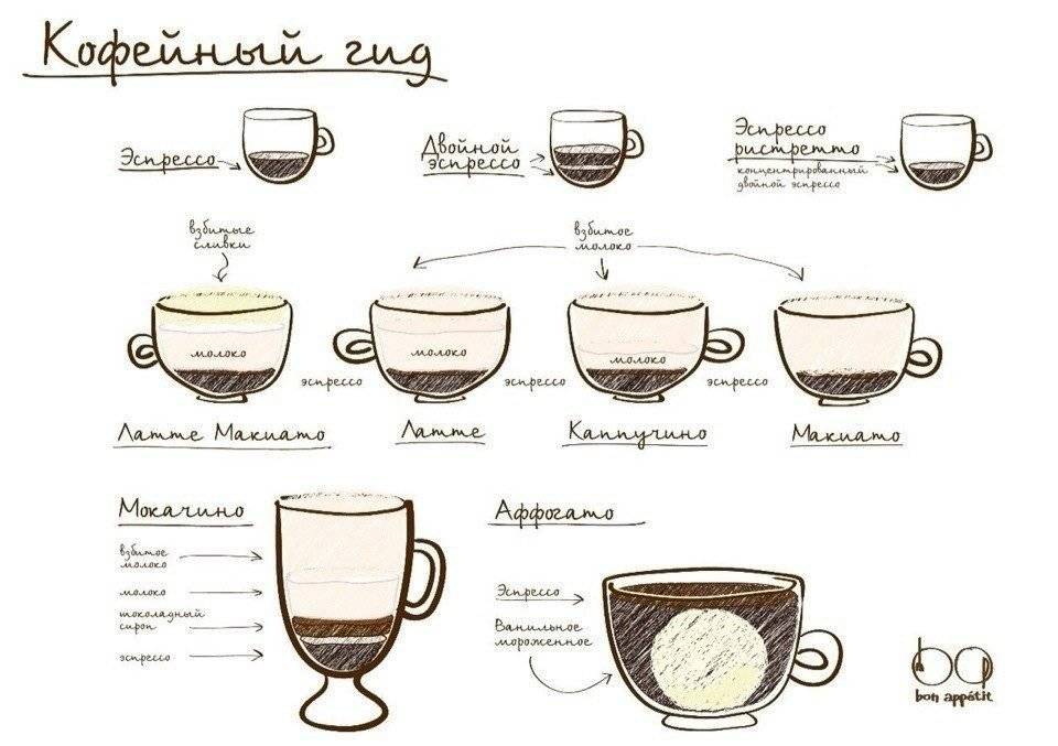 Кофе латте – состав и рецепты приготовления в домашних условиях, история происхождения