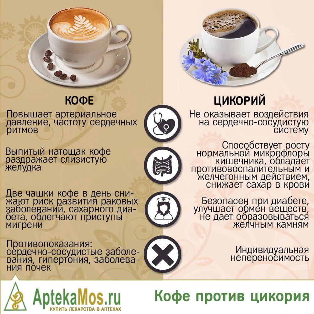 Кофе или цикорий – что полезнее пить по мнению ученых?