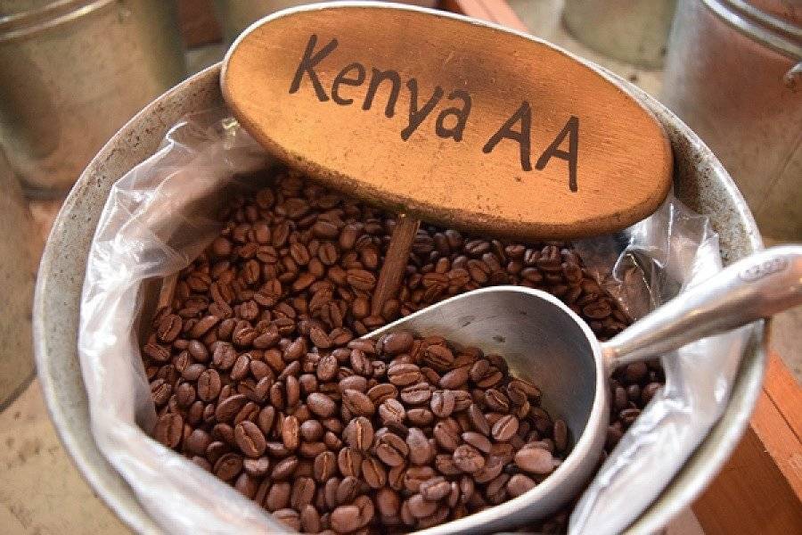 Кенийский кофе: особенности, сорта, виды, лучшие марки