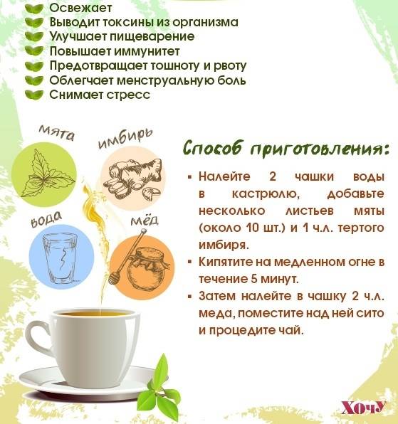 Калмыцкий чай: польза и вред для здоровья