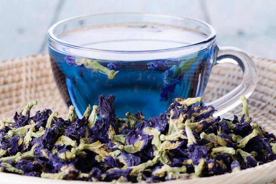 Синий чай из таиланда (анчан): полезные свойства, как заваривать