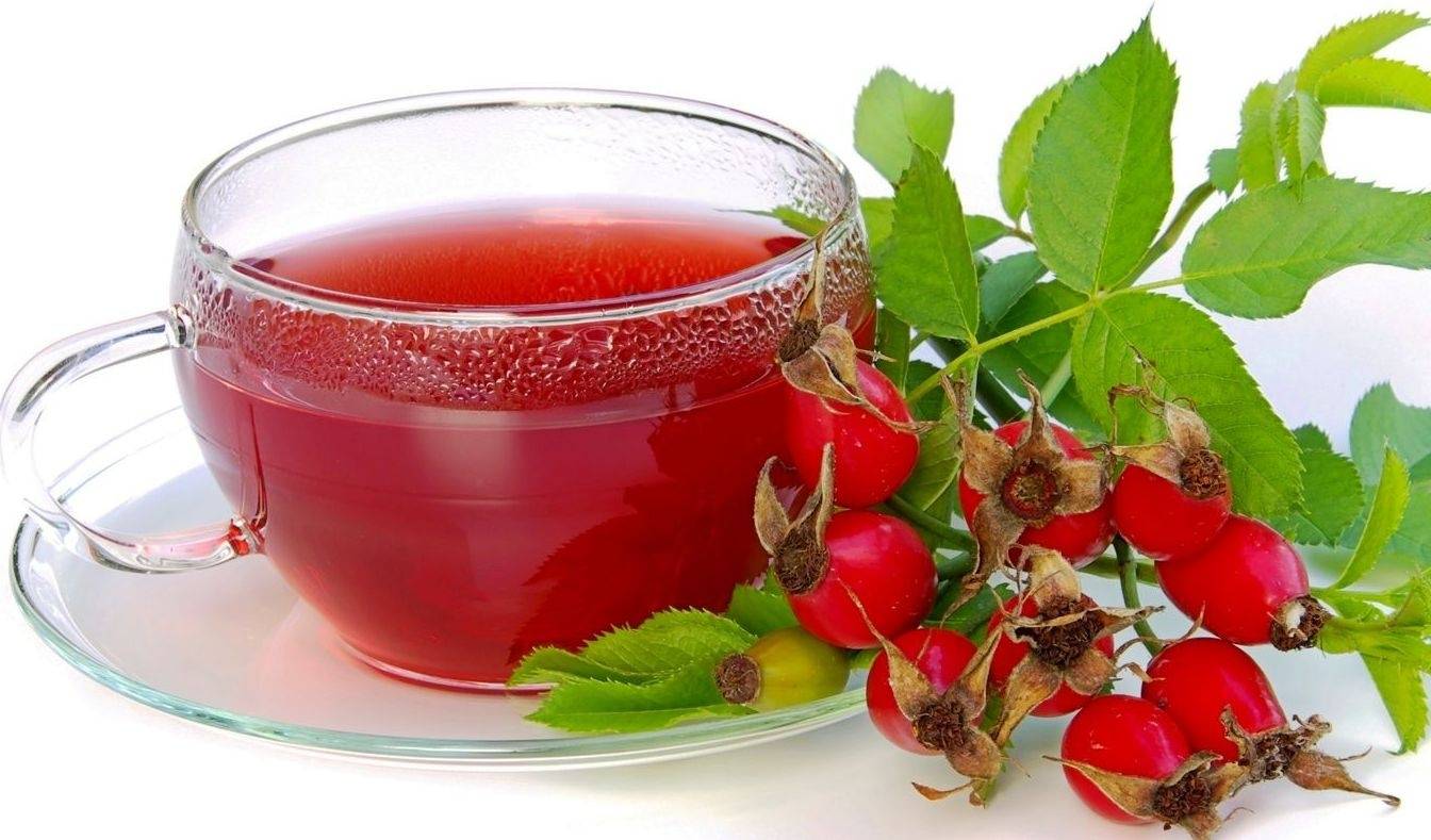 Чай с калиной: польза и вред для здоровья