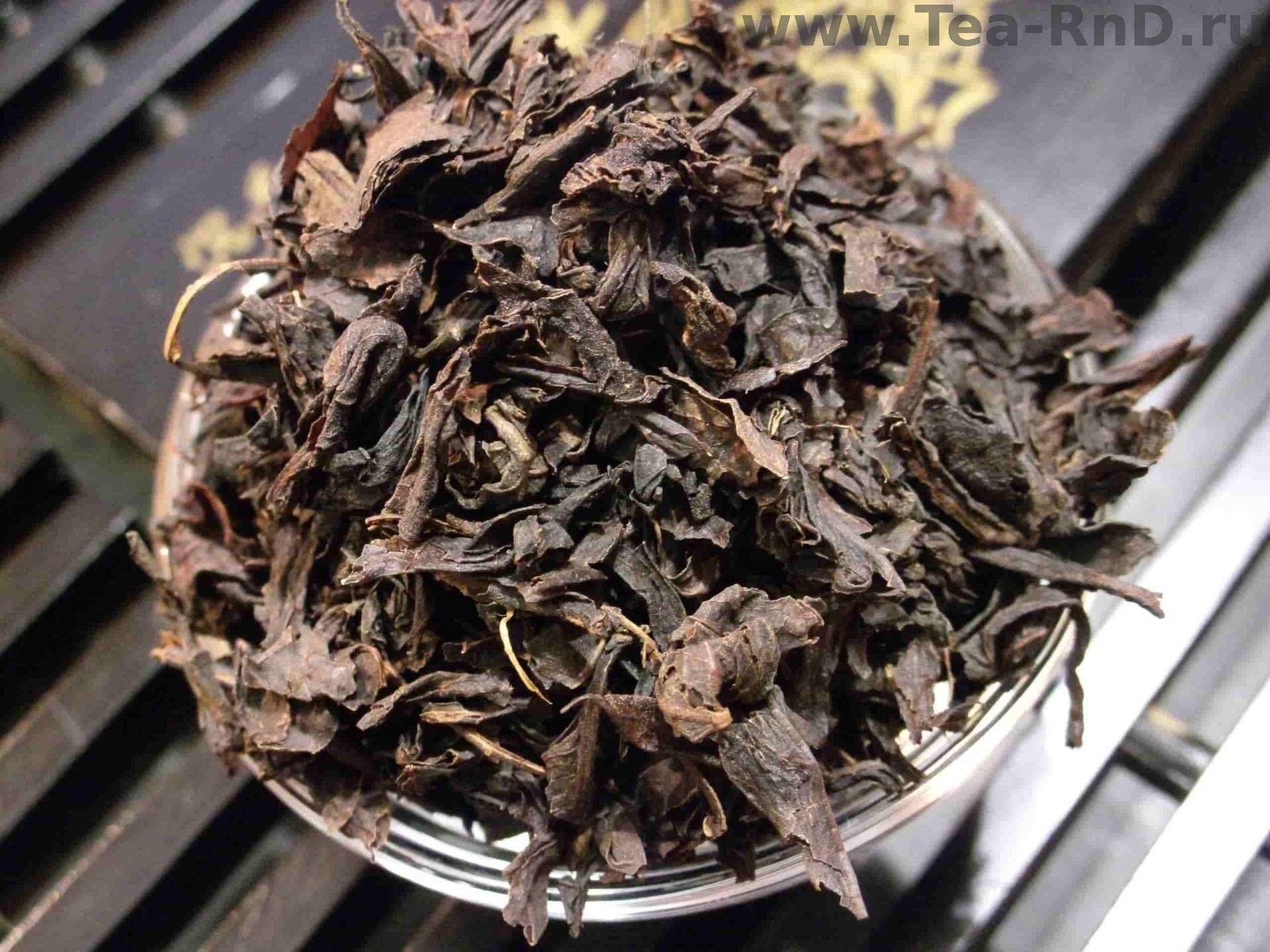 Цейлонский чай – особенности, основные виды и польза напитка из шри-ланки