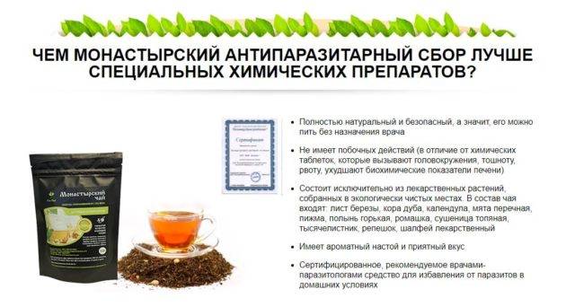 Монастырский чай (сбор): виды и состав трав. правда или развод
