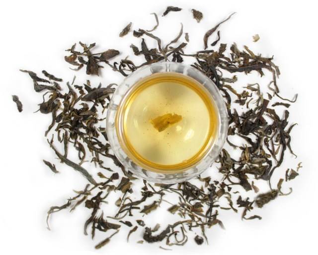 Чай пуэр: польза и полезные свойства, вред и возможные противопоказания для мужчин и женщин