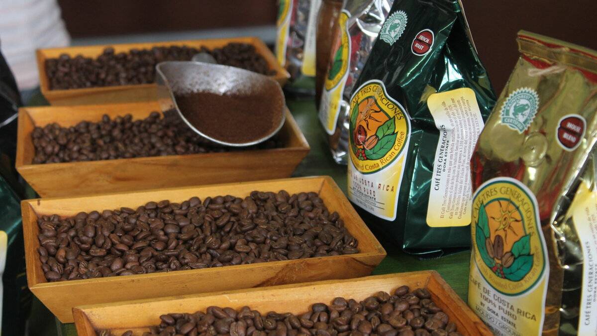 Мексика как производитель кофе - сорта мексиканского кофе