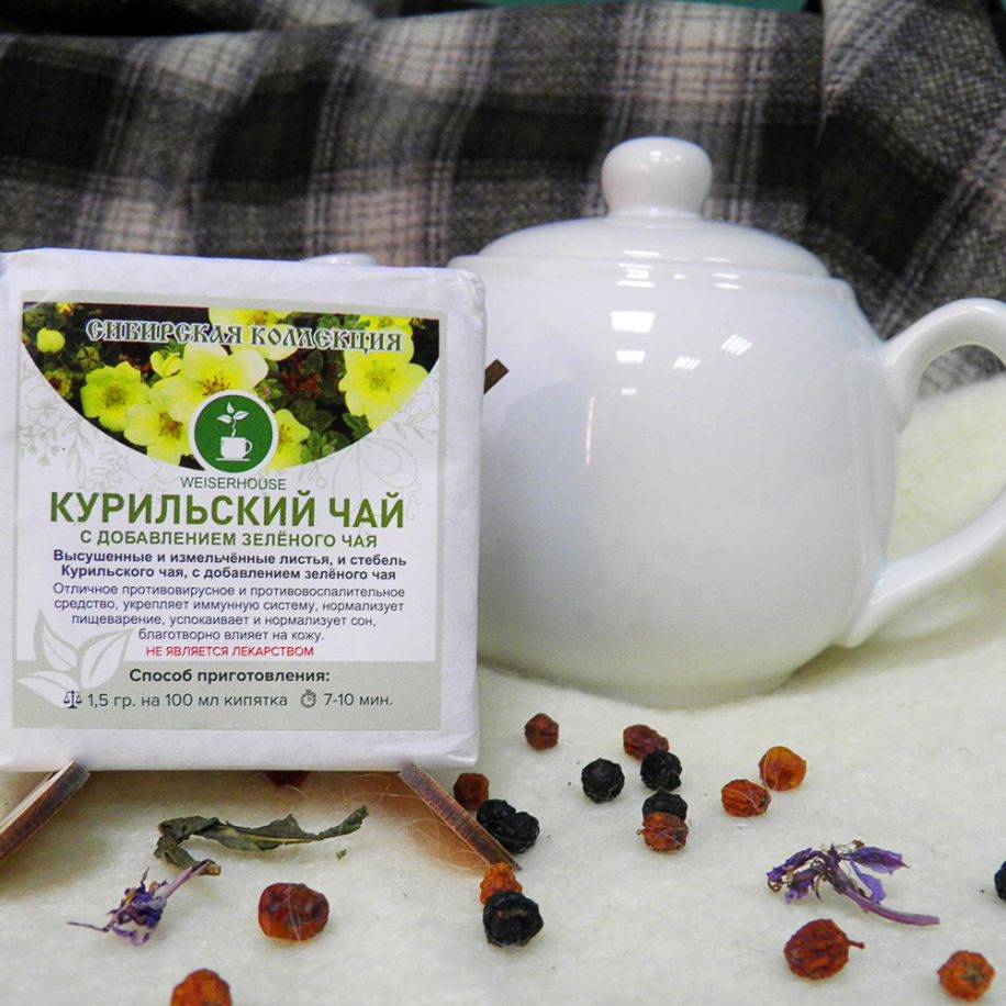 Курильский чай — полезные свойства и применение в народной медицине, противопоказания