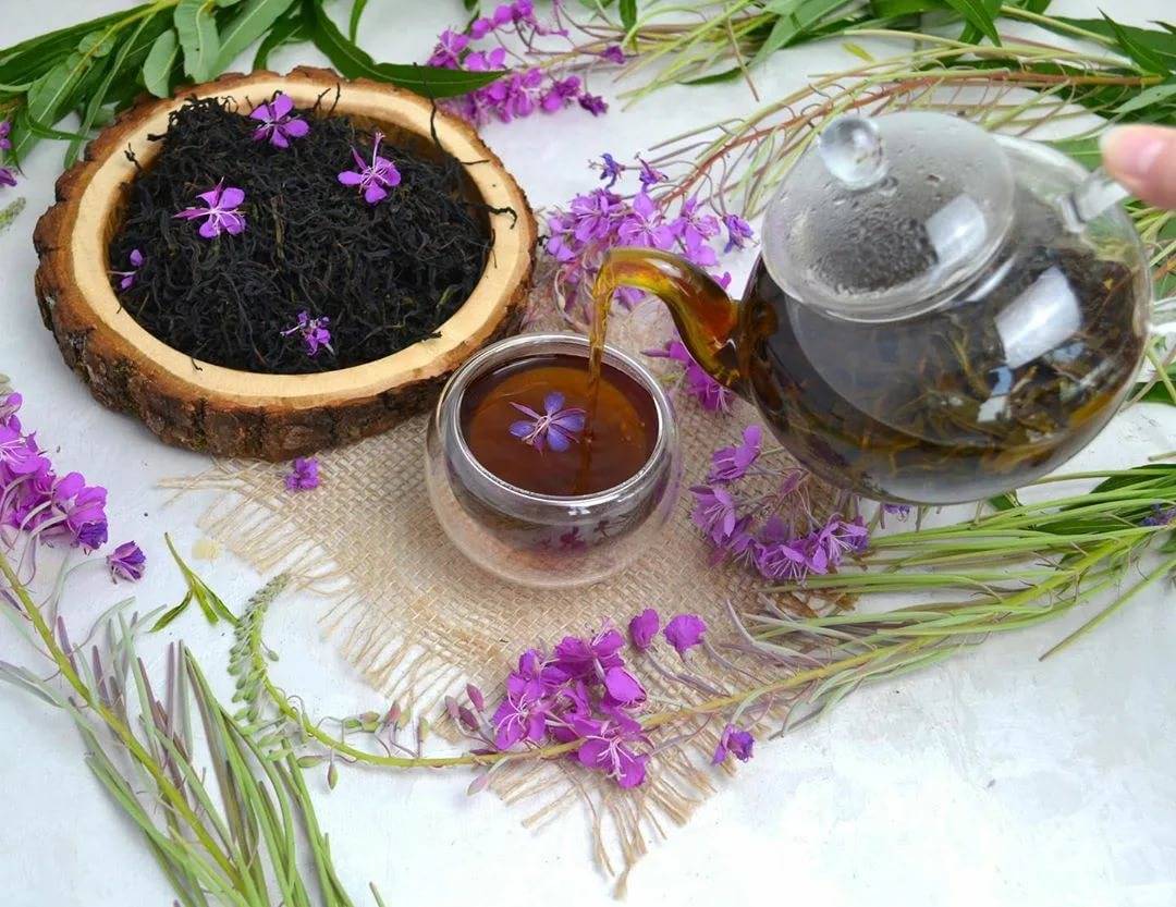 Можно ли пить иван-чай ежедневно, вместо обычного чая или кофе | дары природы.су