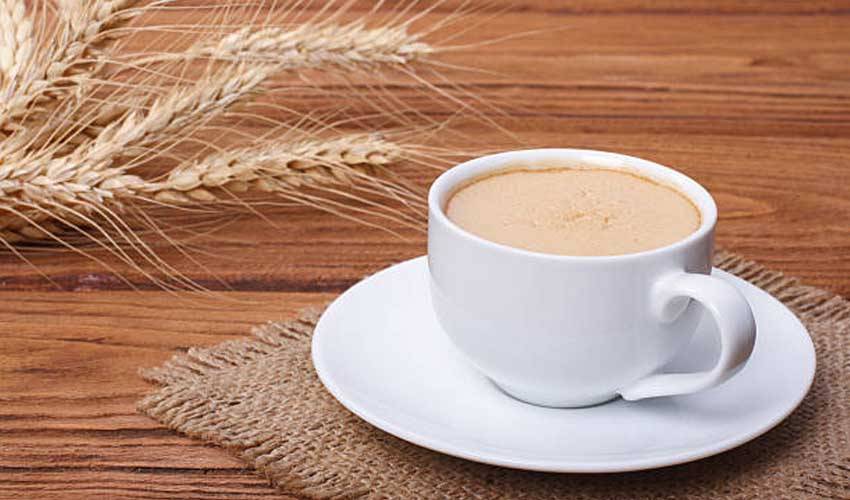 Польза и вред кофейного напитка из ржи и ячменя, его влияние на организм. кофейный напиток ячменный колос польза и вред