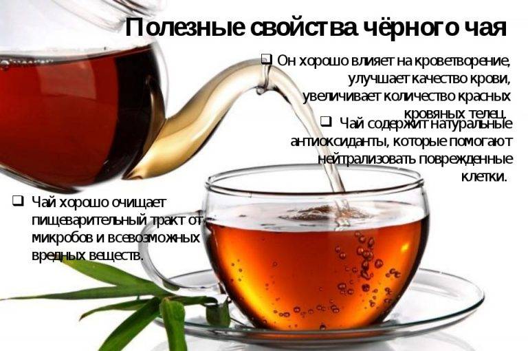 Зеленый чай повышает или понижает давление? все о напитке